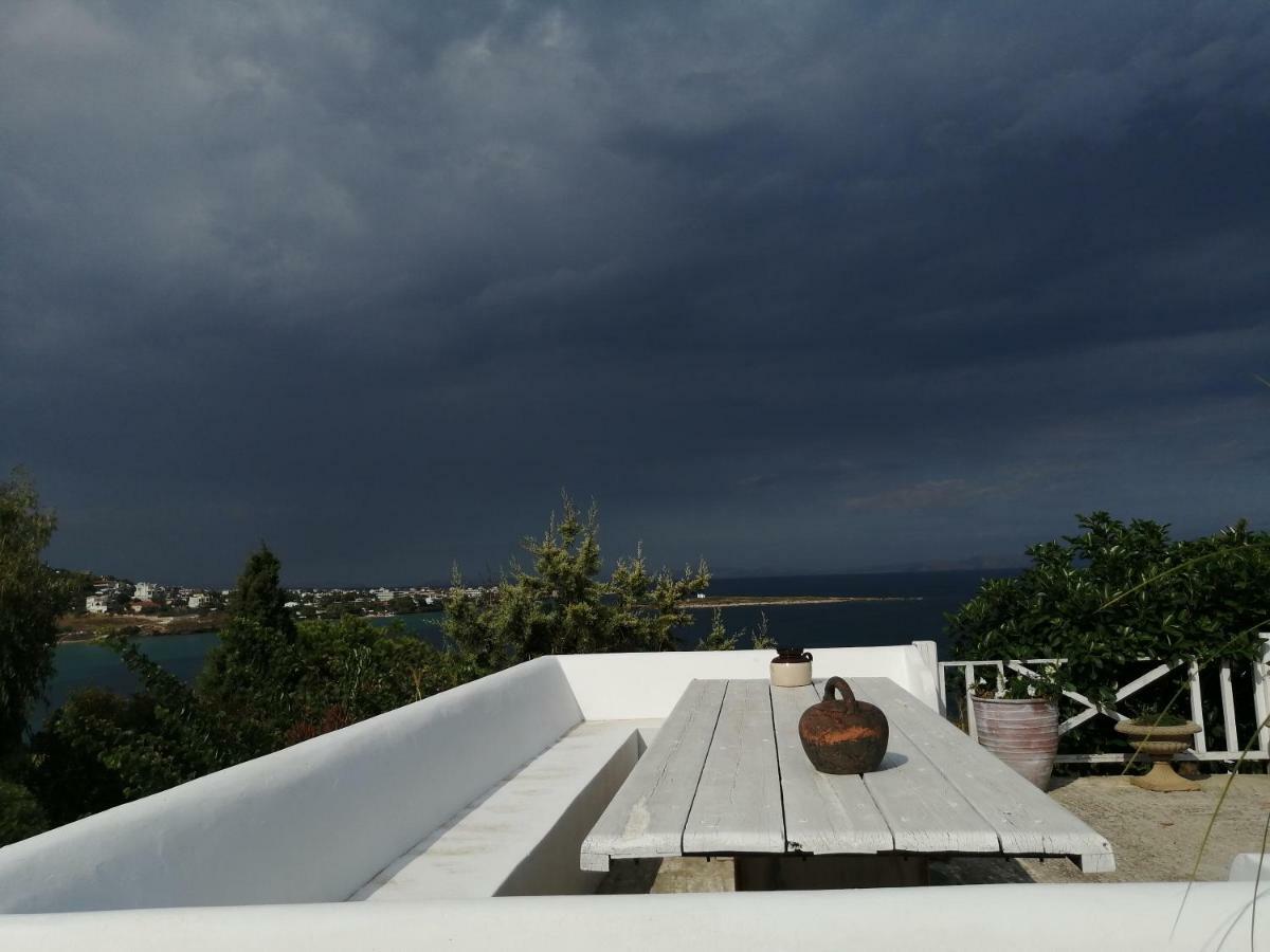 Artemis Villa Near Athens Airport Markópoulon Eksteriør billede